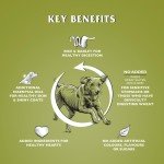 Wheat-Free Hypoallergenic Lamb & Rice Dog Food 12.5kg