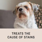 Eye Envy Natural Tear Stain Remover for Dogs