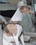 Truelove Pet Car Seat Belt Safety Lock