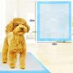 Premium Leak-Proof Puppy Training Pads (10 Pack)