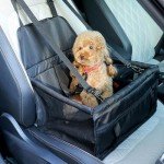 Foldable Dog Car Seat with Safety Belt