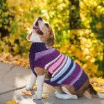 Cozy Striped Turtleneck Dog Sweater for Winter