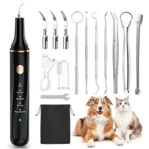 Dog Tooth Cleaning Kit with LED Light - 12 Pack