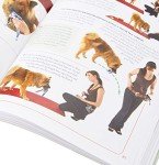 Brain Games for Dogs: Fun Bonding & Mental Stimulation