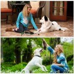 Dog Training Duck Dummy Toy for Retrieving