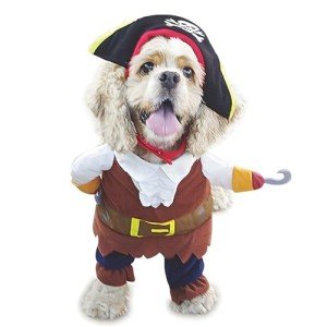 Pirates of the Caribbean Dog Costume - Medium