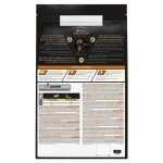 Pro Plan Small & Mini Adult Dry Dog Food