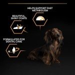 Pro Plan Small & Mini Adult Dry Dog Food