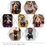 Pirates of the Caribbean Dog Costume - Medium