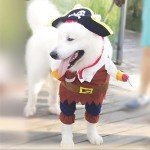 Pirates of the Caribbean Dog Costume - Medium