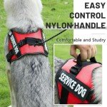 Adjustable No Pull Dog Harness for Medium Dogs