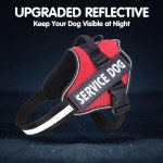 Adjustable No Pull Dog Harness for Medium Dogs