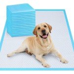 100 Large Puppy Pads - Absorbent & Leakproof