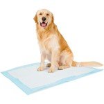 100 Large Puppy Pads - Absorbent & Leakproof