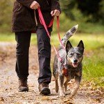 HALTI Double-Ended Dog Lead - Large, Black