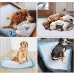 100 Large Puppy Pads - Absorbent & Leakproof