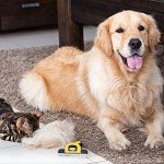 DakPets Pet Deshedding Tool for Dogs & Cats