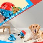 BUYGOO Interactive Dog Tug and Chew Toy