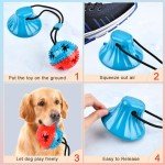 BUYGOO Interactive Dog Tug and Chew Toy