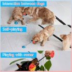 BUYGOO Interactive Dog Tug and Chew Toy