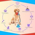 BUYGOO Interactive Dog Tug and Chew Toy