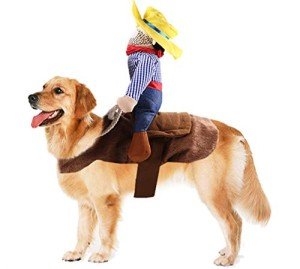 Funny Cowboy Rider Dog Costume for Halloween