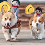 Funny Cowboy Rider Dog Costume for Halloween