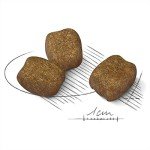 Royal Canin Mini Dental Care Dog Food 3kg