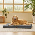 Orthopedic Extra Large Dog Bed with Washable Cover