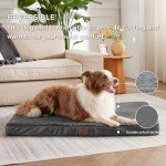 Orthopedic Extra Large Dog Bed with Washable Cover
