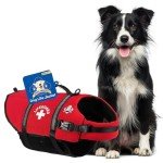 Paws Aboard Swim Life Jacket for Dogs