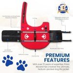 Paws Aboard Swim Life Jacket for Dogs