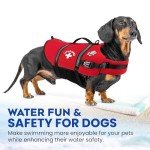 Paws Aboard Swim Life Jacket for Dogs