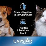 Capstar Flea Tablets for Small Dogs & Cats