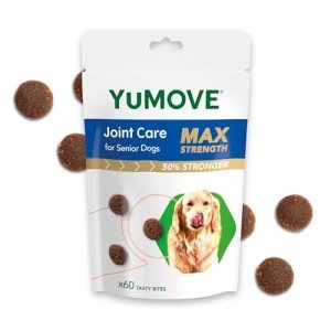 Max Strength Joint Support for Senior Dogs 60 Chews