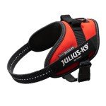 Julius-K9 Mini Powerharness Dog Harness - Red