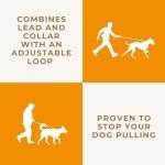 Olive Green Deluxe Slip Lead for Dogs