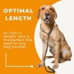 Olive Green Deluxe Slip Lead for Dogs