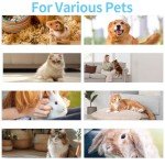 Double-Sided Dog Brush for Shedding and Tangles