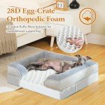 Medium Orthopedic Dog Bed with Washable Zipper Cover