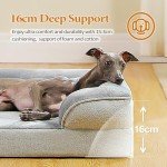 Medium Orthopedic Dog Bed with Washable Zipper Cover