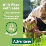 Advantage Flea Treatment for Medium Dogs, 4 Pipettes