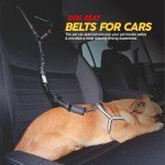 Adjustable Heavy Duty Dog Car Seat Belt