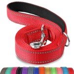 Joytale Reflective Nylon Dog Lead for Training