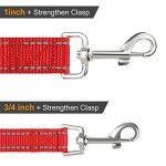 Joytale Reflective Nylon Dog Lead for Training