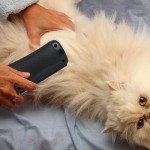 Mr. Waggy Tails Grooming Brush and Deshedding Tool