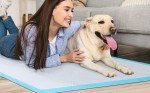 Large Disposable Puppy Training Pads - 100 Pack