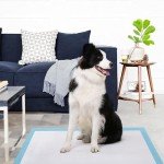 Large Disposable Puppy Training Pads - 100 Pack