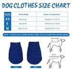 Cozy Blue Turtleneck Sweater for Small Dogs