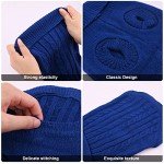 Cozy Blue Turtleneck Sweater for Small Dogs